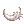 Feather of Angel Wing