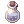 Glistening Coat