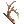 Strong Branch