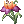 Valhalla's Flower